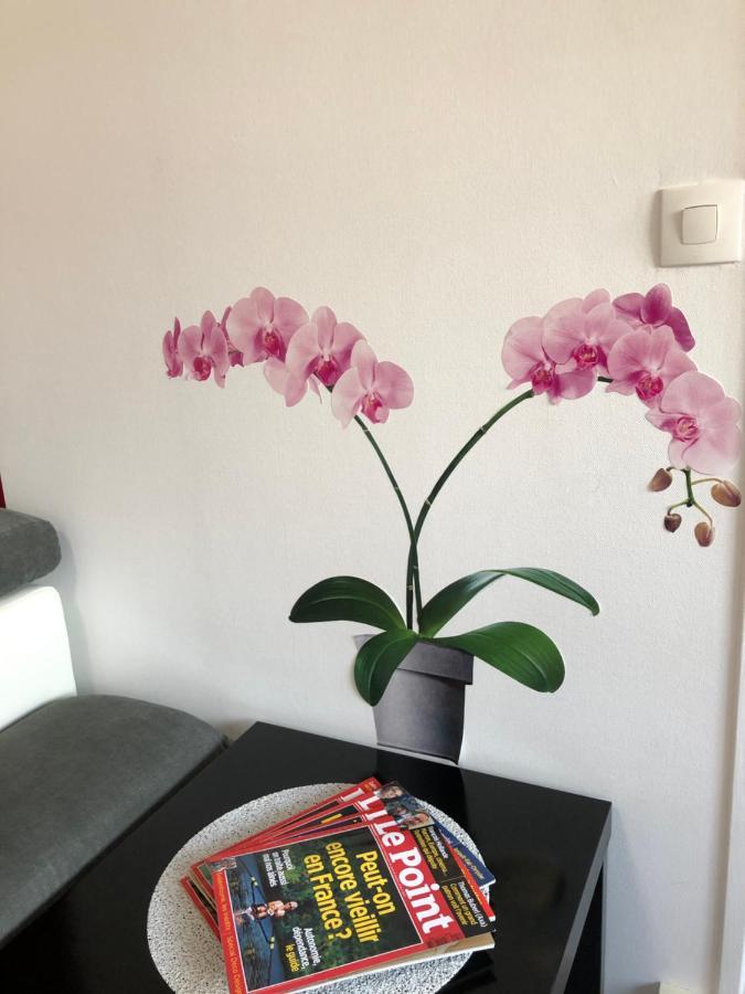 BedinReims burgundy bottle free parking&wifi free ideal 4 à 8 Adultes Esterno foto