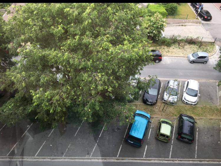 BedinReims burgundy bottle free parking&wifi free ideal 4 à 8 Adultes Esterno foto