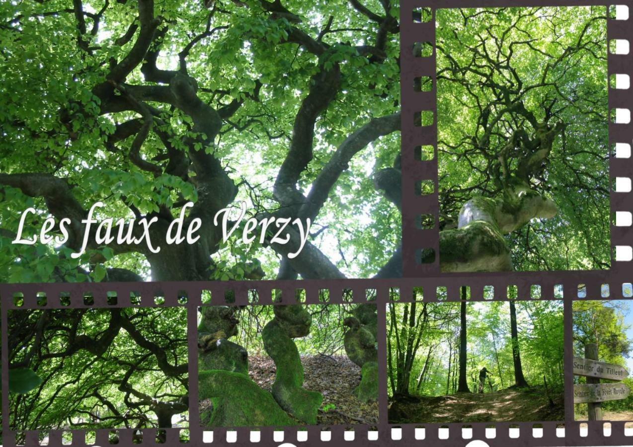 BedinReims burgundy bottle free parking&wifi free ideal 4 à 8 Adultes Esterno foto
