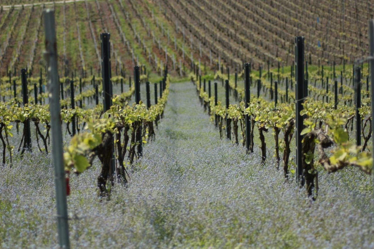 BedinReims burgundy bottle free parking&wifi free ideal 4 à 8 Adultes Esterno foto